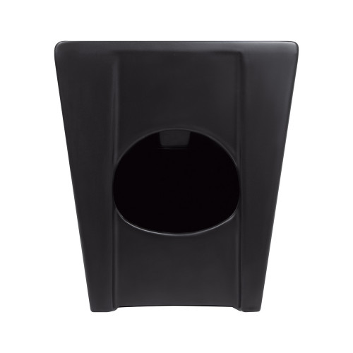 Биде напольное Qtap Robin 565x360x405 Matt black QT13442141CMB